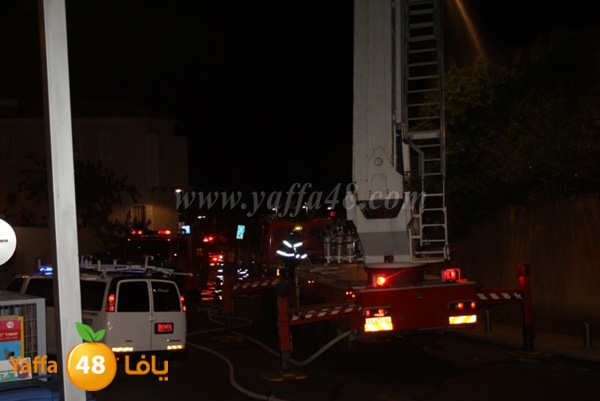 fire minas2 sterer (50).JPG